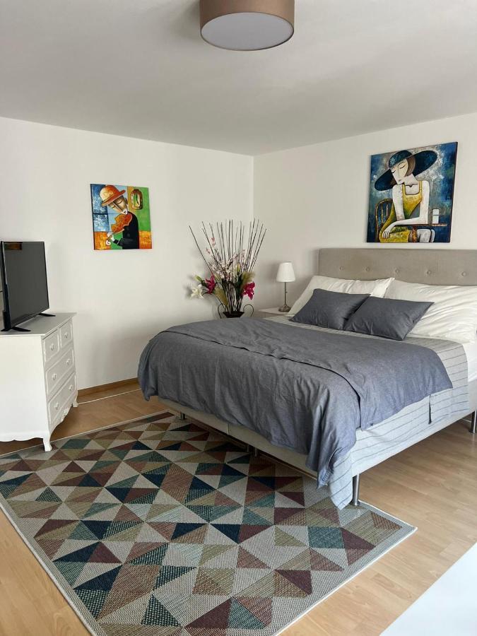 Schweiz Apartment Базел Екстериор снимка