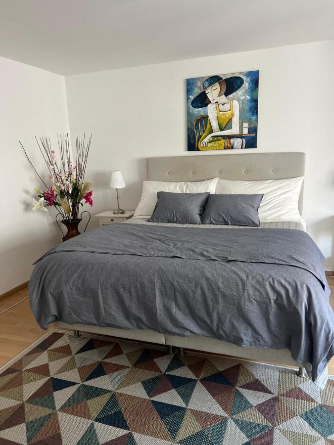 Schweiz Apartment Базел Екстериор снимка