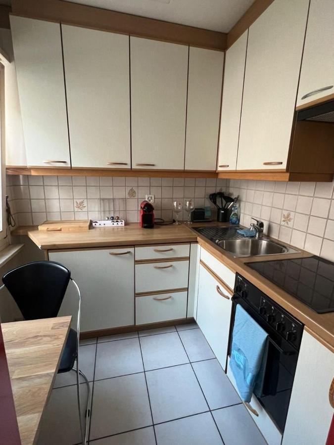 Schweiz Apartment Базел Екстериор снимка